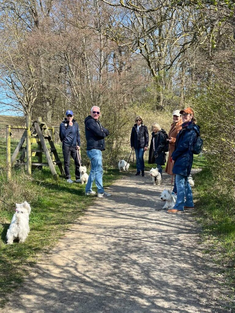 ’Westiepromenad i Råådalen