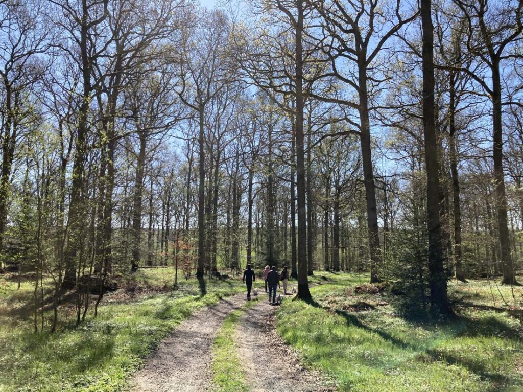 Westiepromenad vid Hovdala slott