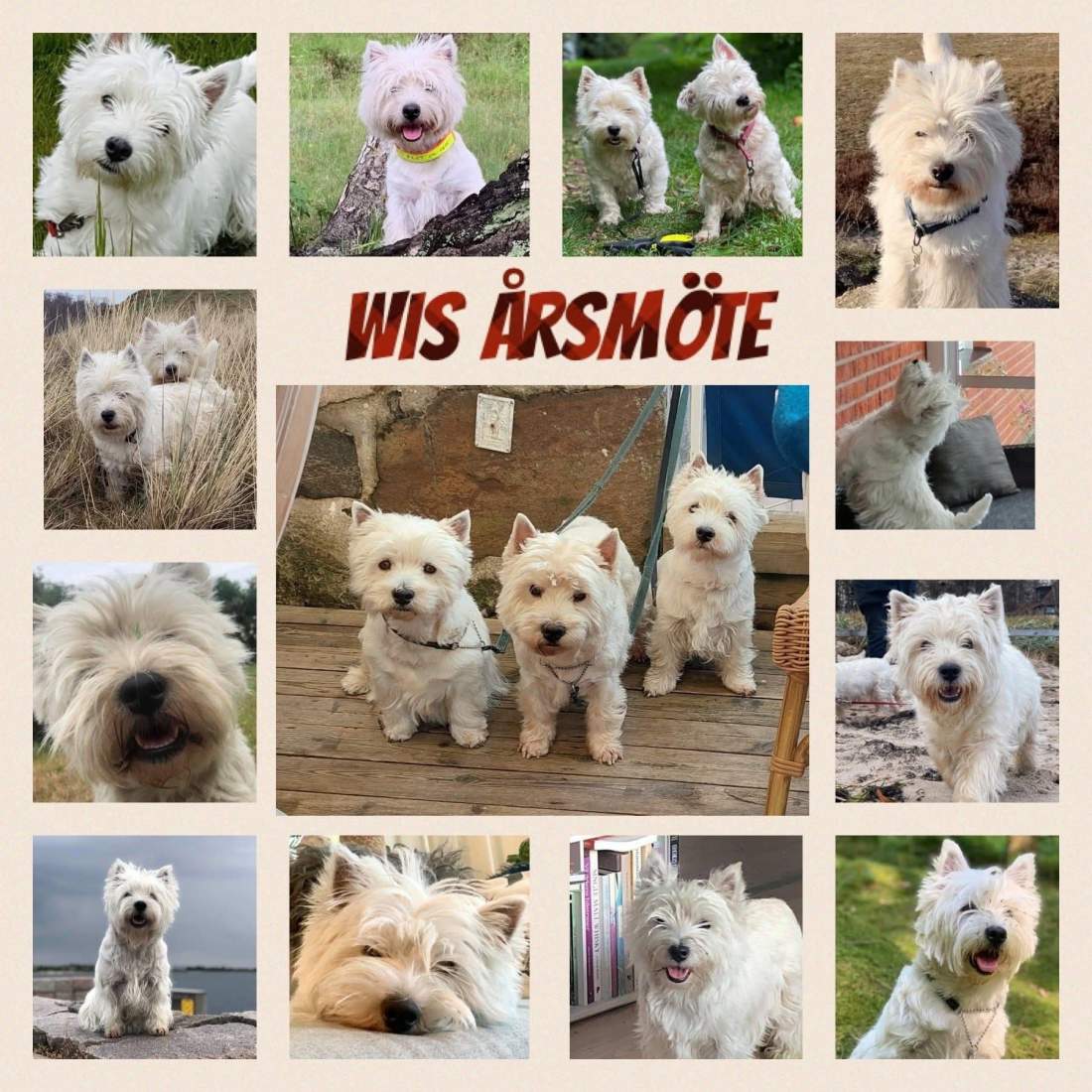 Torsdagen den 13 feb kl. 19.00 – On-line! – Nytt datum!