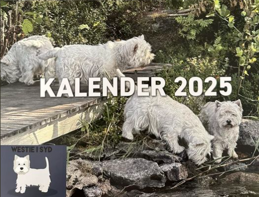 Westie i Syds väggalmenacka för 2025